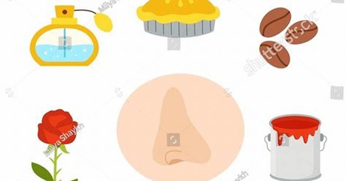 Smell