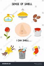 Smell