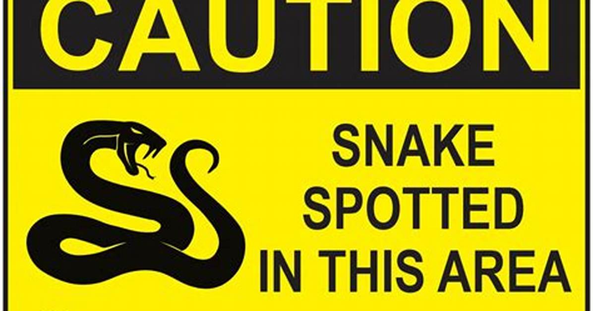 Snake's Warning