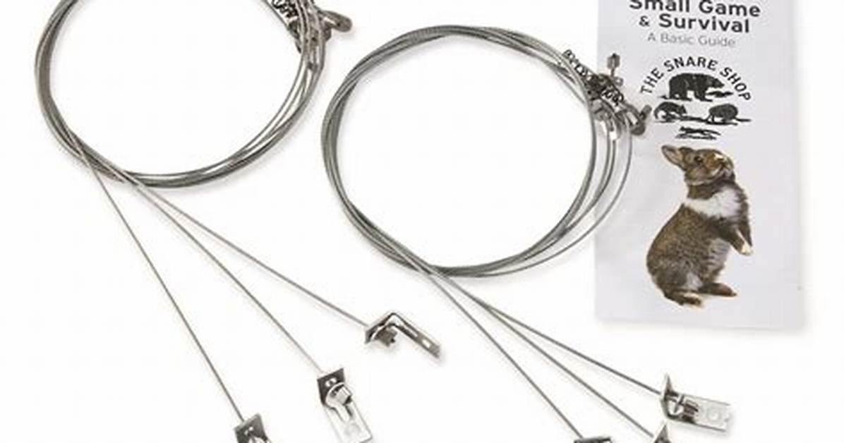Snares