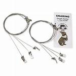 Snares