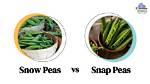 Snow or Snap Vegetable