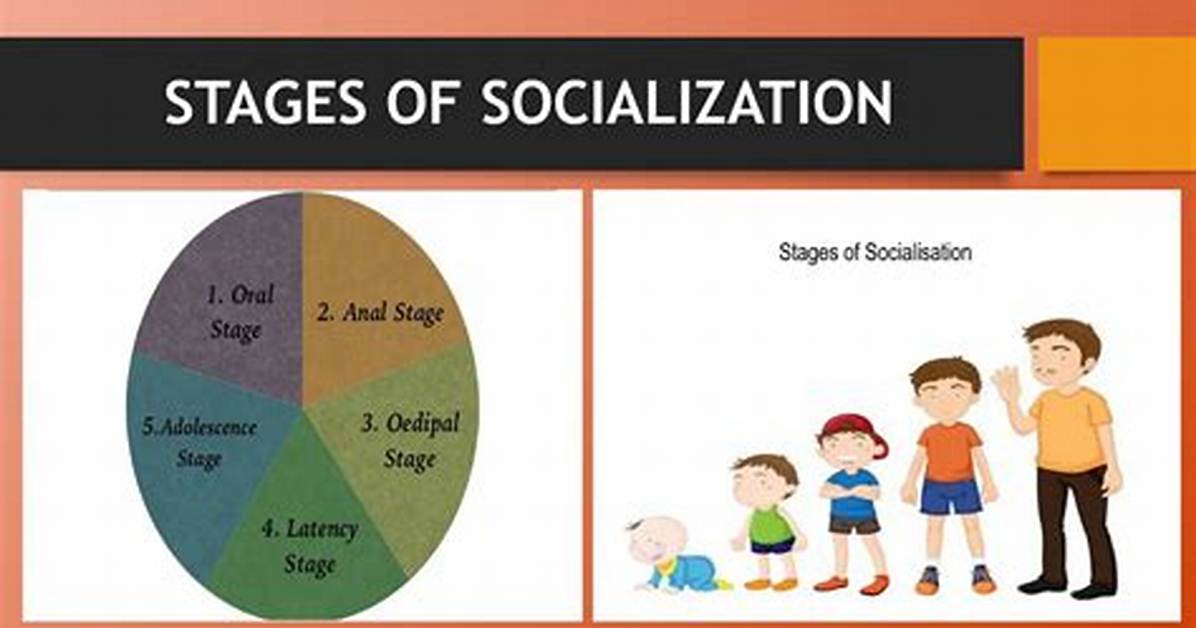 Socialization Process