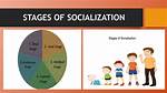 Socialization Process
