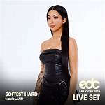 Softest Hard