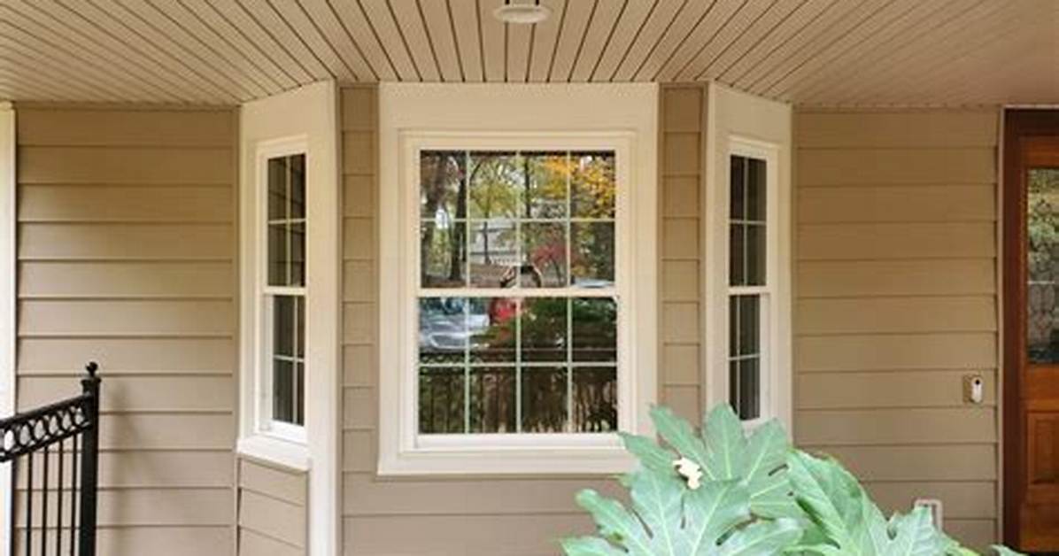 Softlite Windows