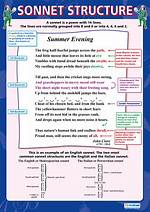Sonnet Structure