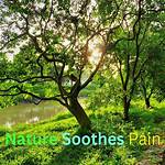 Soothes