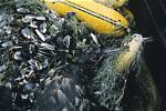 Sooty Debris