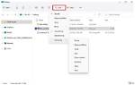 Sort Order in Windows Explorer