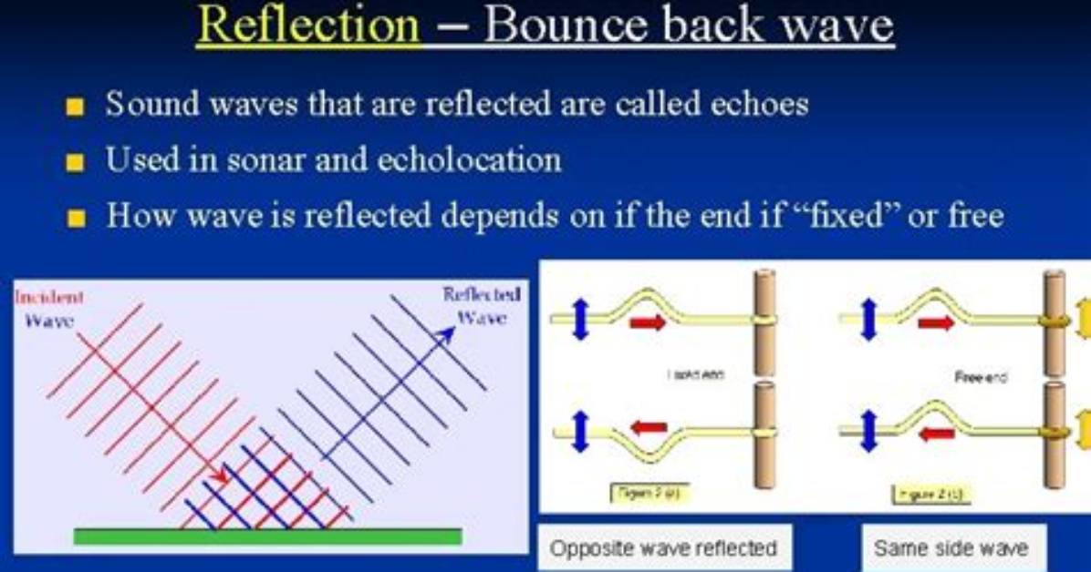 Sound Bounce-Back