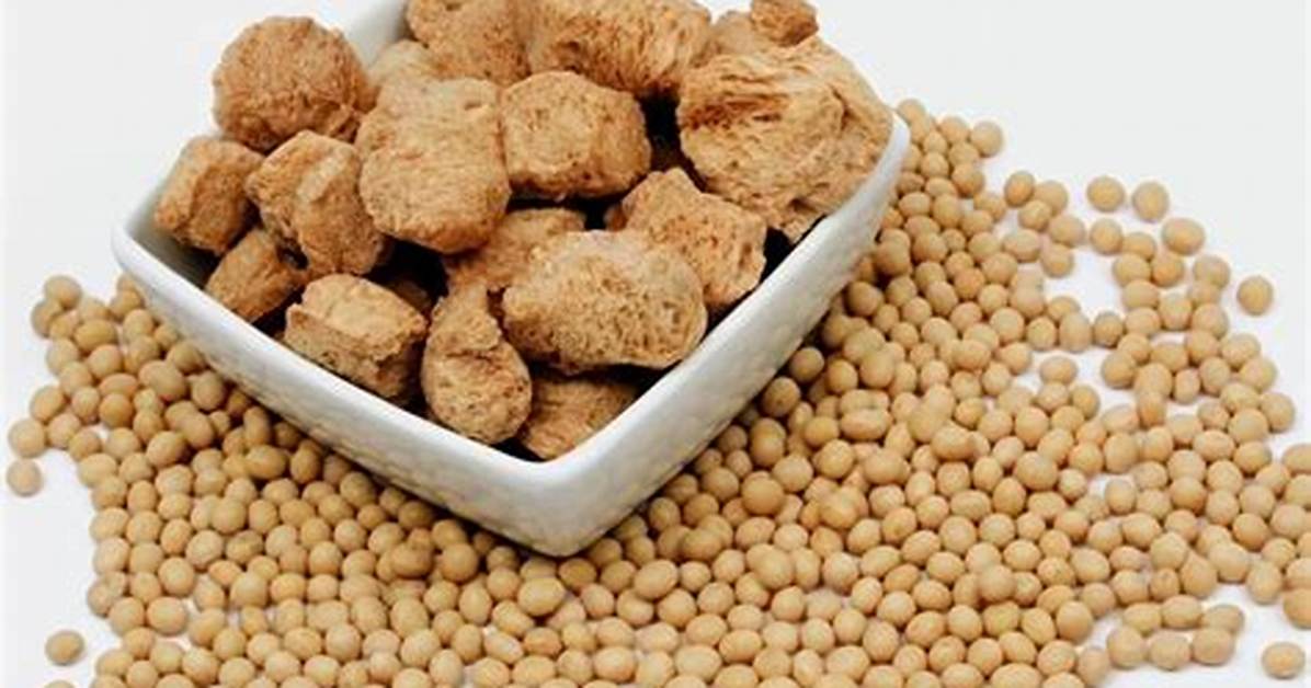 Soy Meat