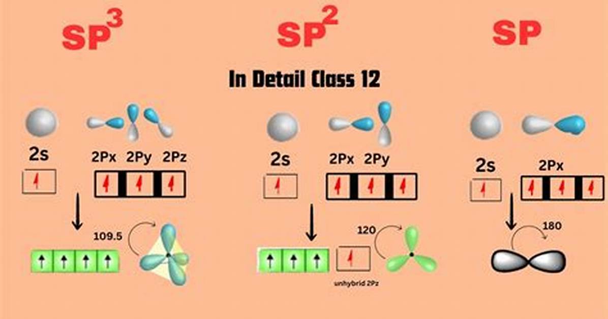 Sp3 vs Sp2