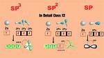 Sp3 vs Sp2