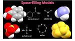 Space Filling Model