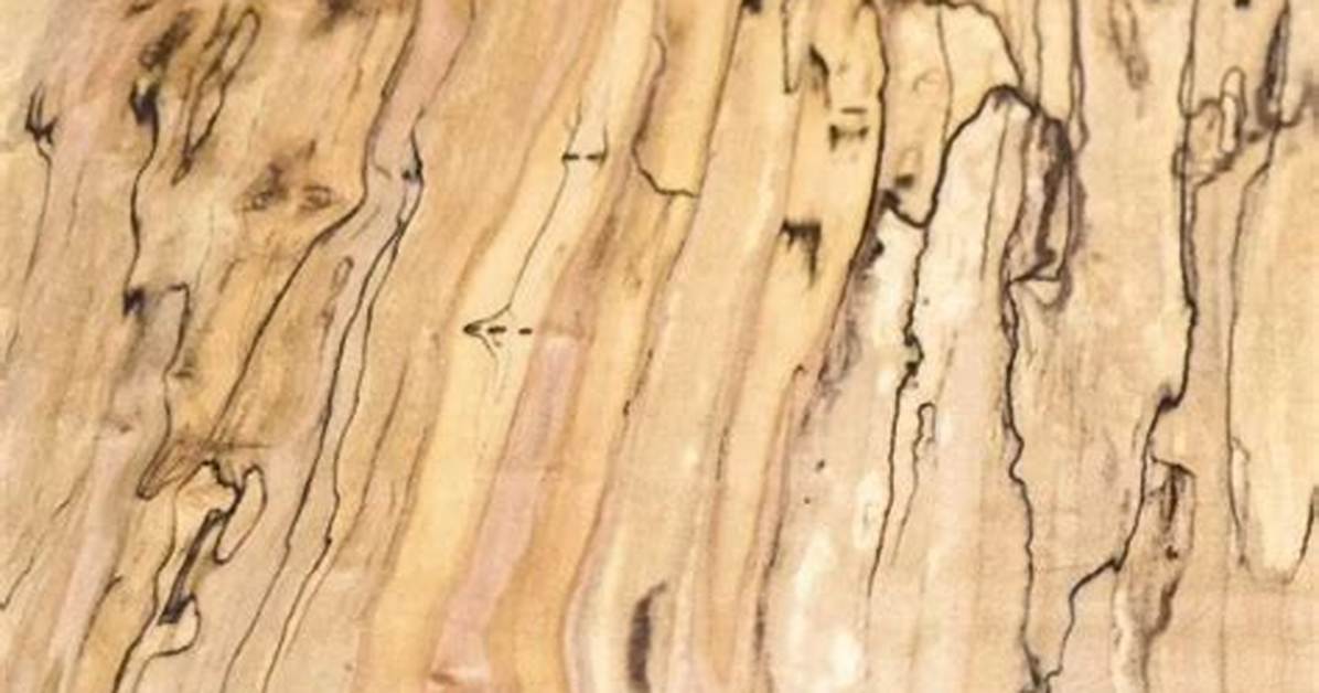 Spalted Maple
