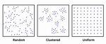 Spatial Pattern