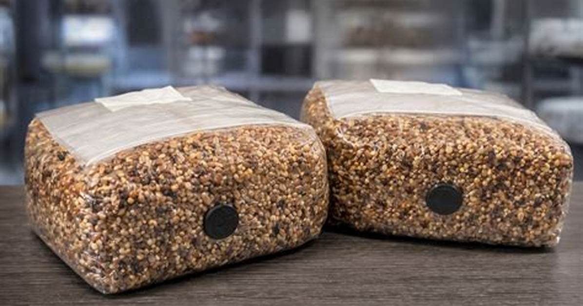 Spawn Bags