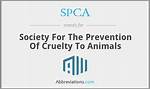 Spca Stands For