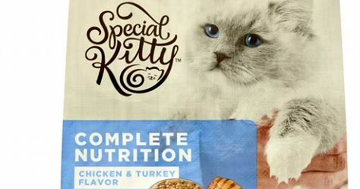 Special Kitty