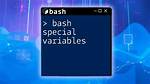 Special Variables in Bash
