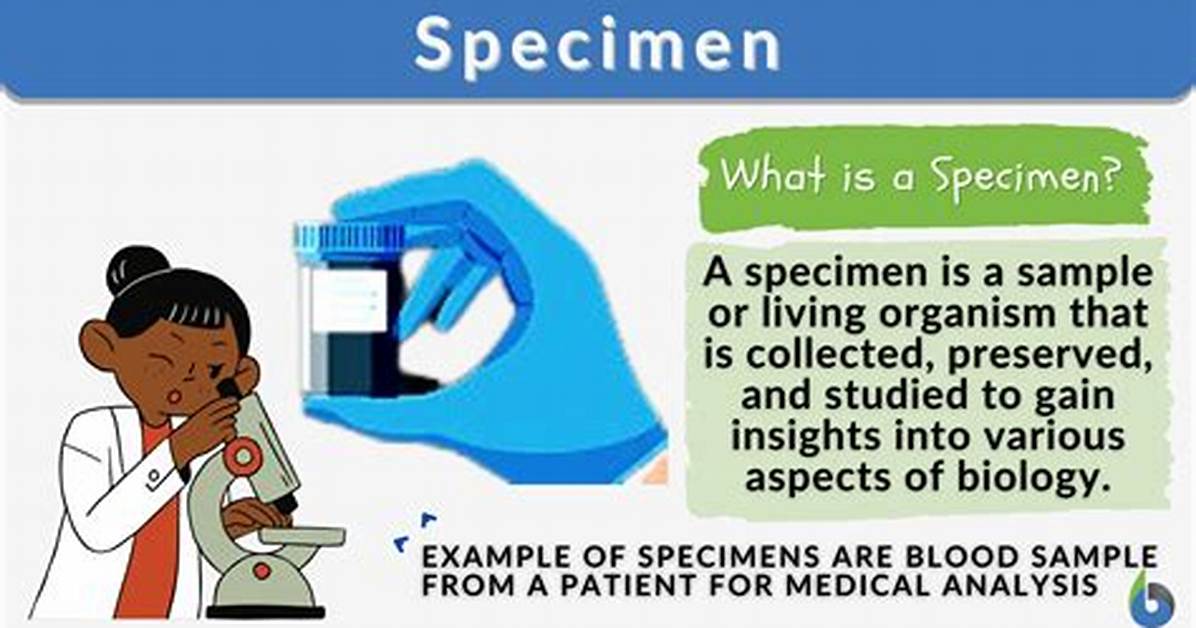 Specimen Definition