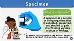 Specimen Definition
