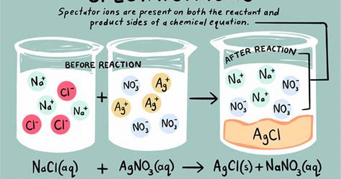 Spectator Ion