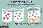 Spectator Ion