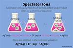 Spectator Ions