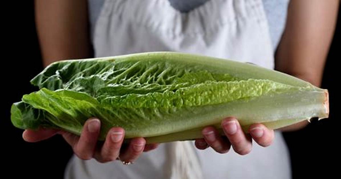 Spell Lettuce
