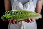 Spell Lettuce