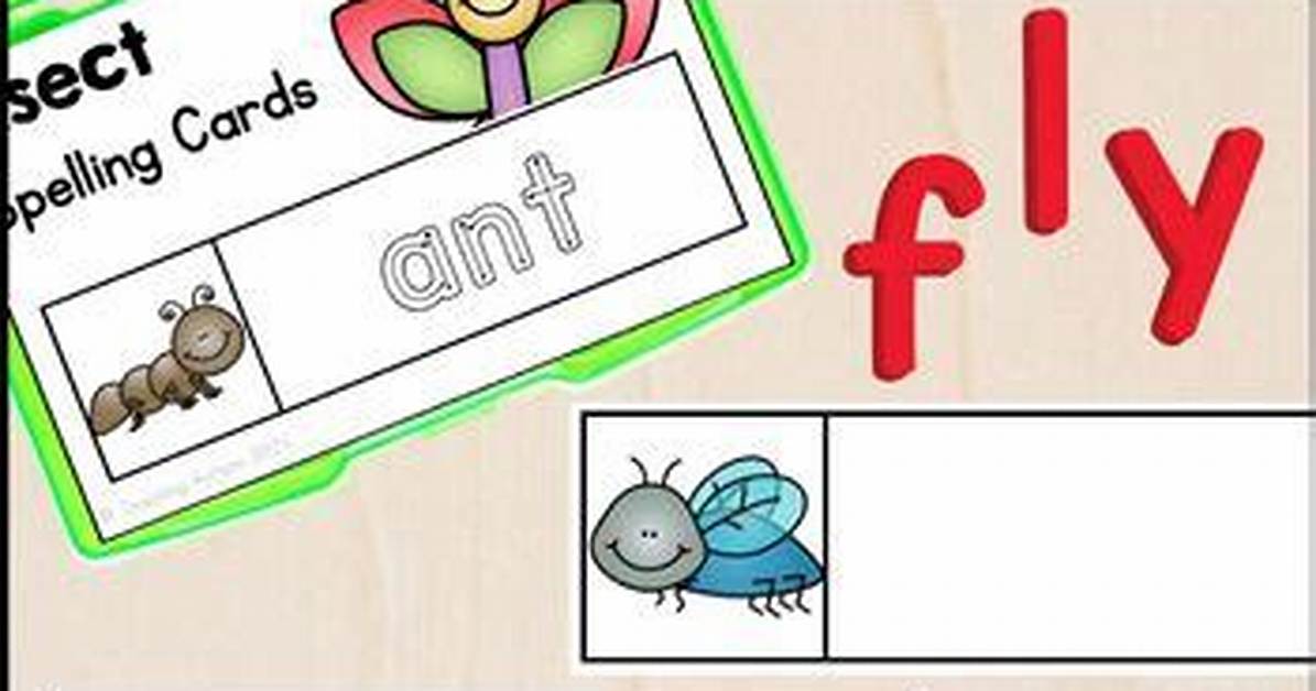 Spelling Insect
