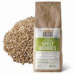 Spelt Berries