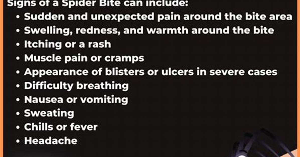 Spider Bite Symptom