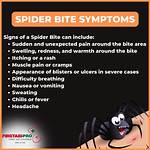 Spider Bite Symptom