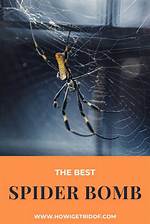 Spider Bomb