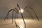 Spider Lamp