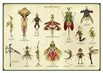 Spiderwick Chronicles Creatures