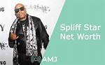Spliff Star Net Worth