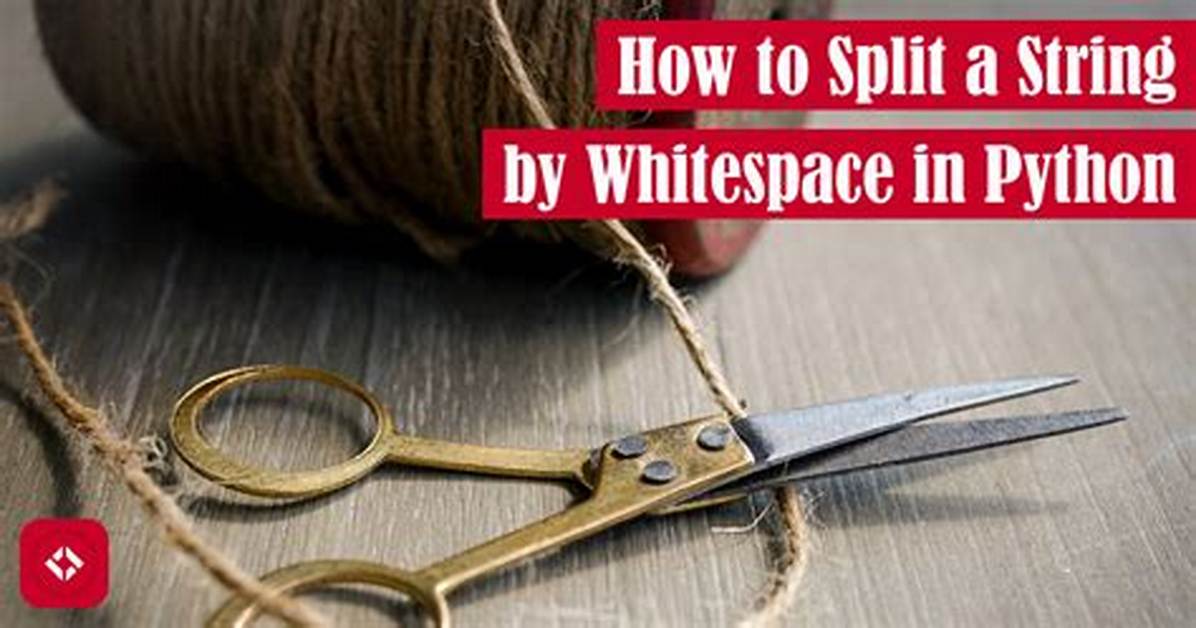 Split String on Whitespace in Python [Duplicate]