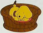 Spot for Sleeping