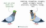 Sprawling Synonym