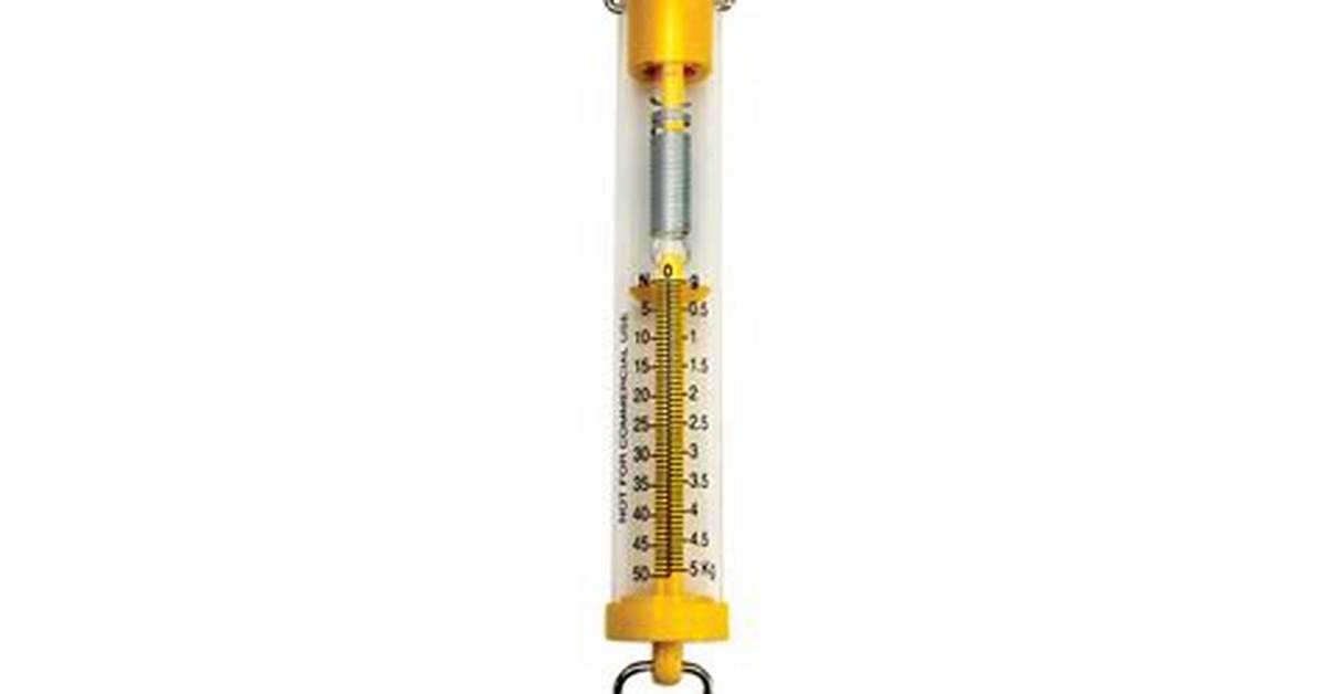 Spring Scale