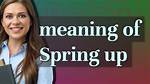 Spring Up