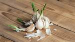 Sprouted Garlic