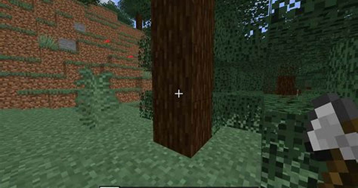Spruce Minecraft