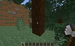 Spruce Minecraft