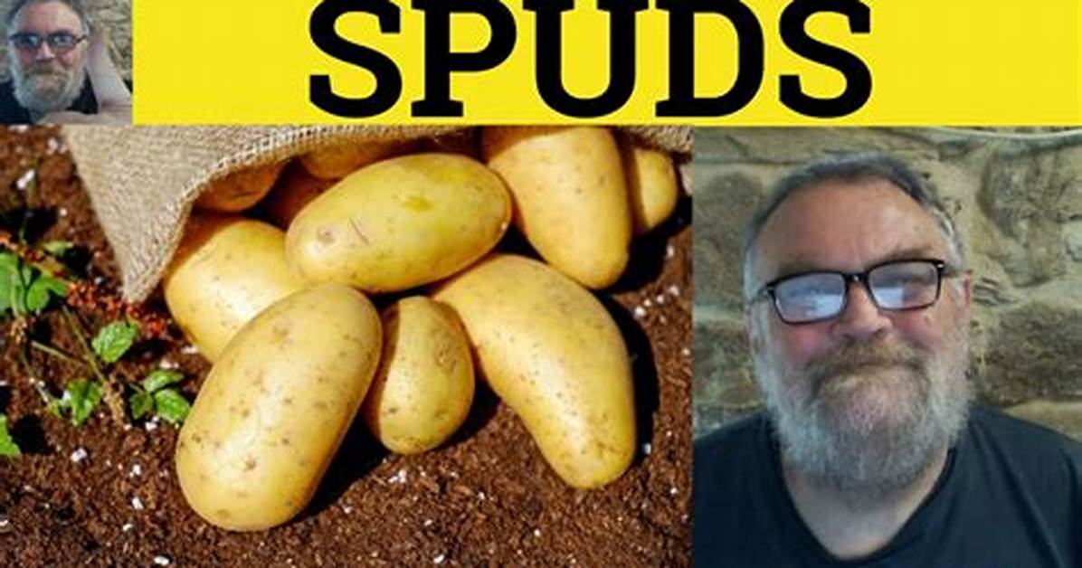 Spud Definition
